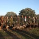 driven-hunts17