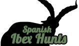 Spanish Ibex Hunts