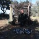 small-game01