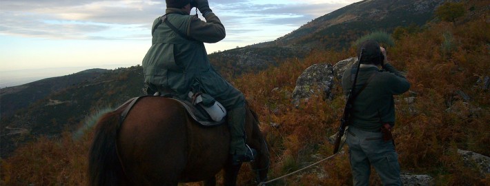 gredos04